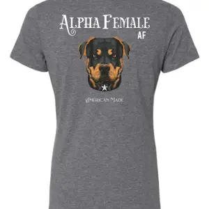 Kristi Ladies Tee